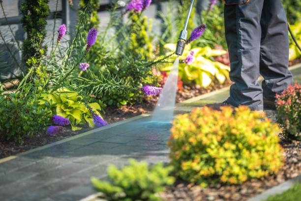 Best Gutter Cleaning  in Fort Davis, TX